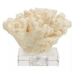 Boho Large White Coral