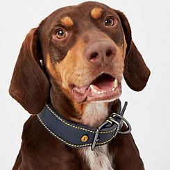 Navy Leather Dog Collar by Joules