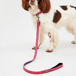 Pink Leather Dog Lead by Joules