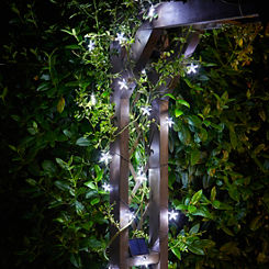 Smart Garden 25 LED Super Bright Solar Powered String Lights - Stars