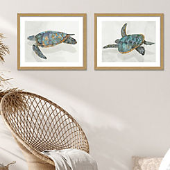 The Art Group Set of 2 Coral Reef Turtle I & II Framed Prints