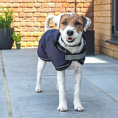 ZOON Uber-Activ Navy Waterproof Comfort Dog Coat