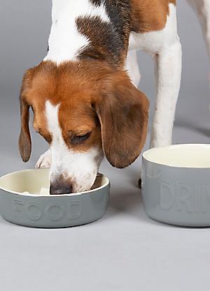 Evans coats and jackets sale Clearance