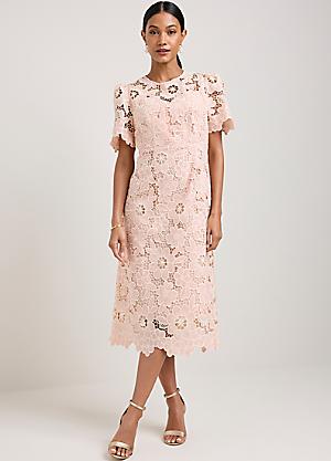 chinese dress ladies Kaleidoscope Lace Ruffle Dress  Style Theory