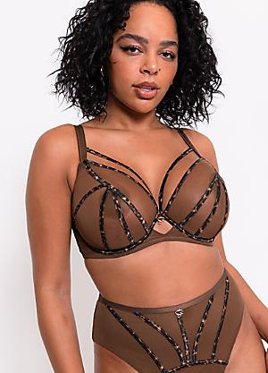 Shop for Scantilly by Curvy Kate, J CUP, Lingerie