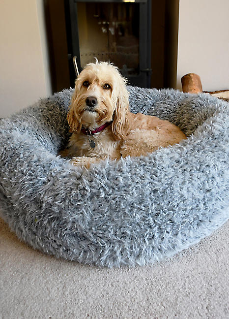 Rosewood 2025 dog bed