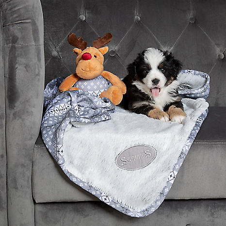 Scruffs best sale dog blanket