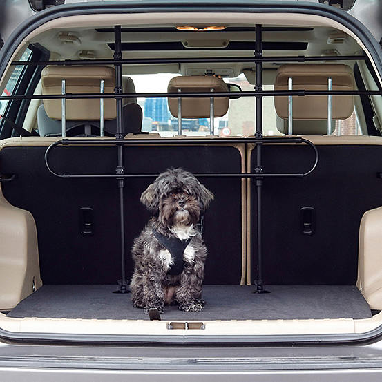 Streetwize Standard Universal Dog Car Guard Curvissa