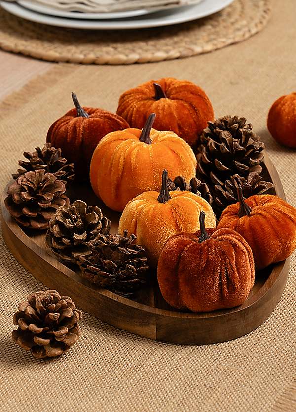 purple waterfall jacket