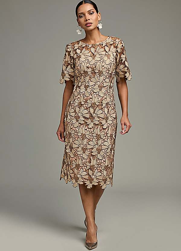Kaleidoscope Mocha Lace Shift Dress | Curvissa
