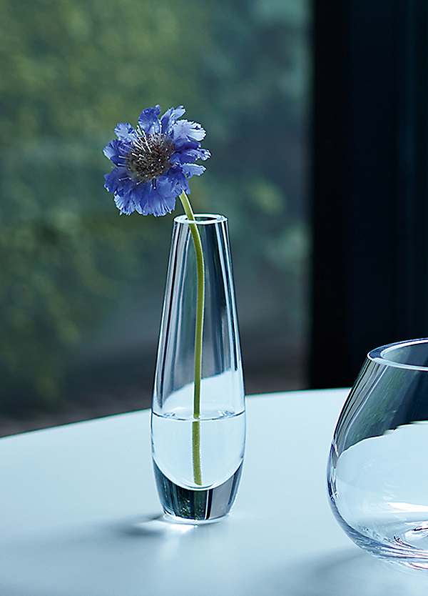 LSA Flower Single Stem Vase - Clear | Curvissa