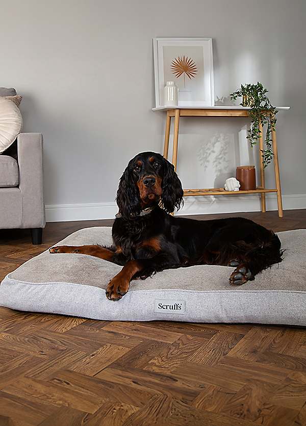 Memory foam for dogs hotsell