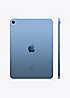 Apple 10.9 Inch iPad Wi-Fi 256GB - Blue | Curvissa
